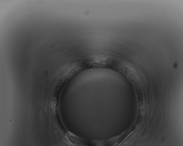 X0000097990231200804011816