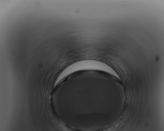 X0000097990232200804011816