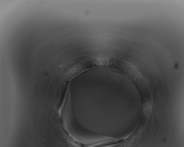 X0000097990233200804011816