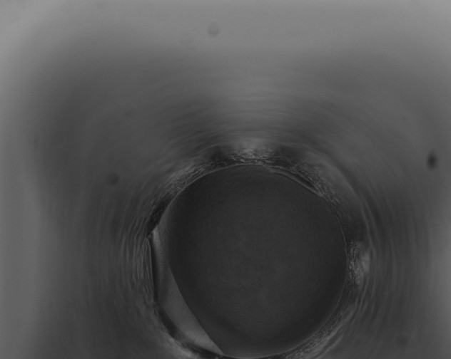 X0000097990235200804011816