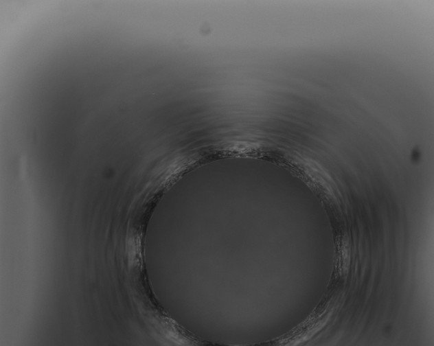 X0000097990236200804011816