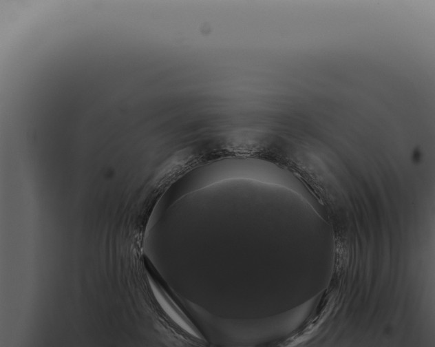 X0000097990237200804011816