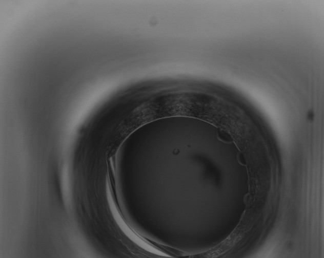 X0000097990239200804011816