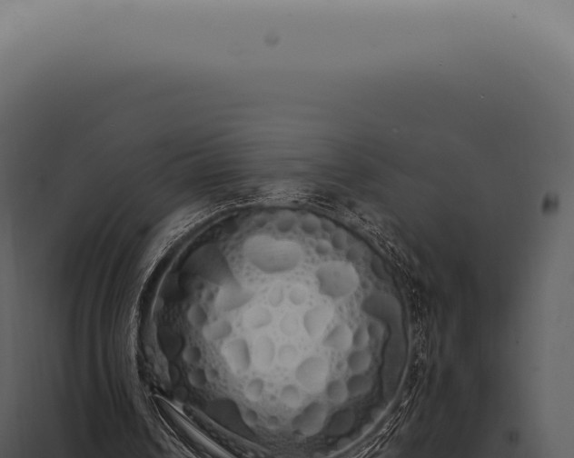 X0000097990242200804011815