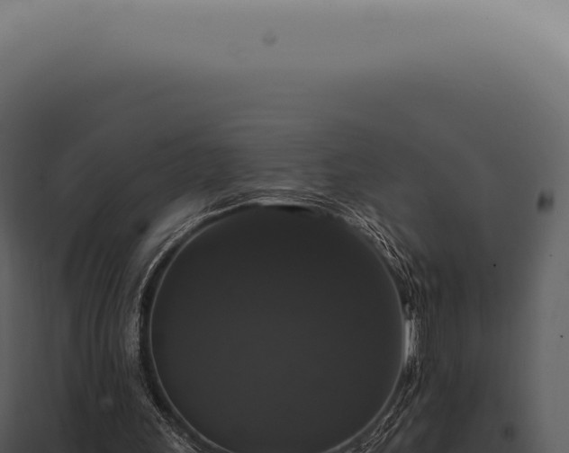 X0000097990243200804011815