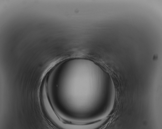 X0000097990244200804011815