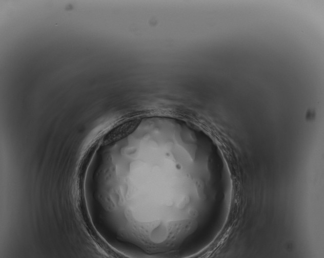 X0000097990245200804011815