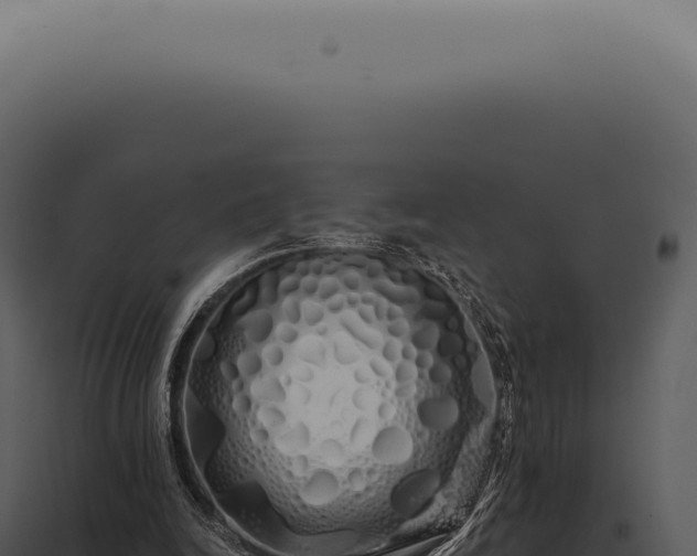X0000097990246200804011815