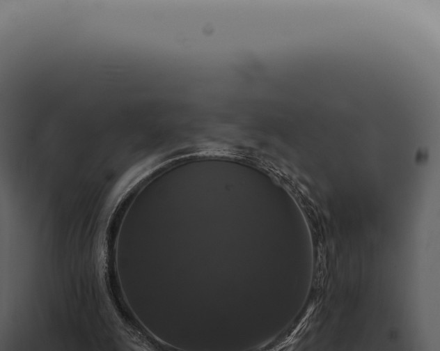 X0000097990247200804011815