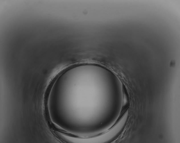 X0000097990248200804011815