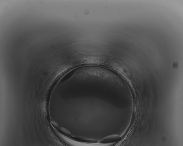 X0000097990249200804011815