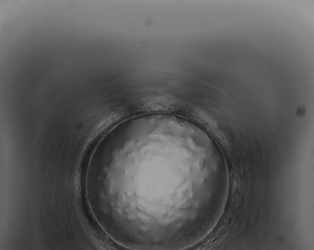 X0000097990250200804011815