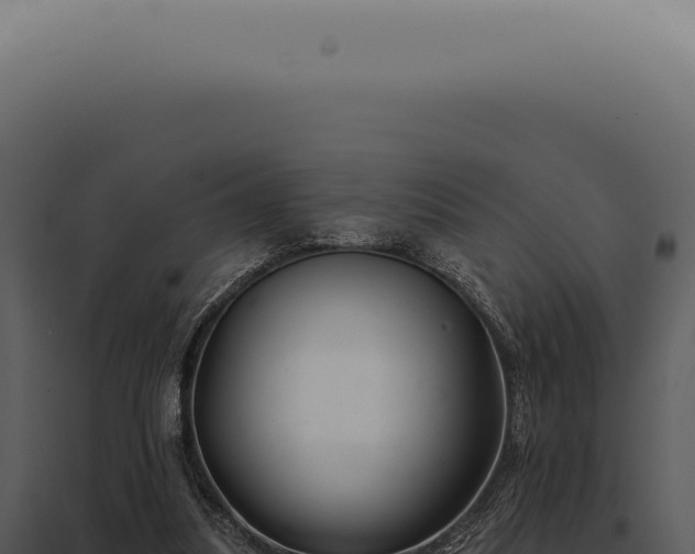 X0000097990251200804011815