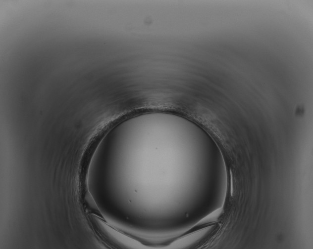 X0000097990252200804011815