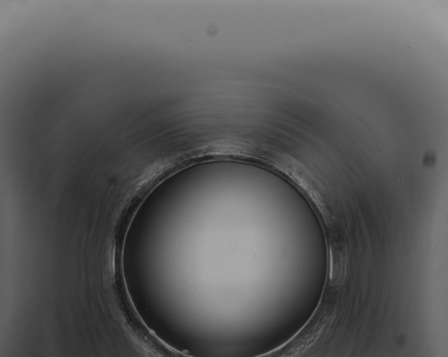 X0000097990253200804011815