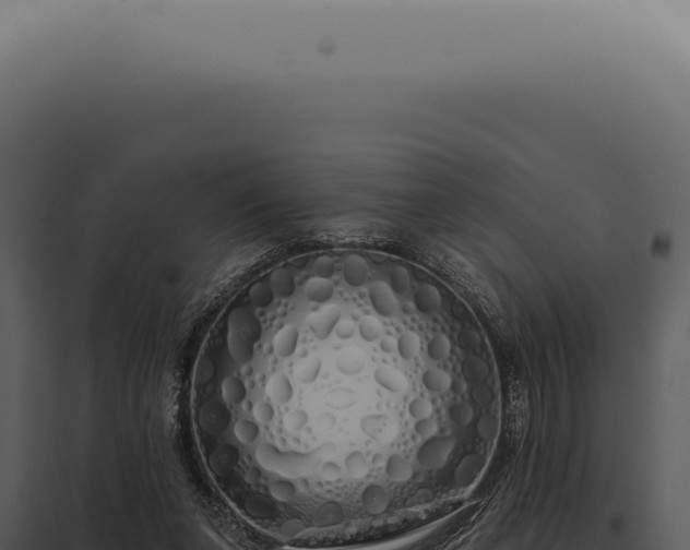X0000097990255200804011815