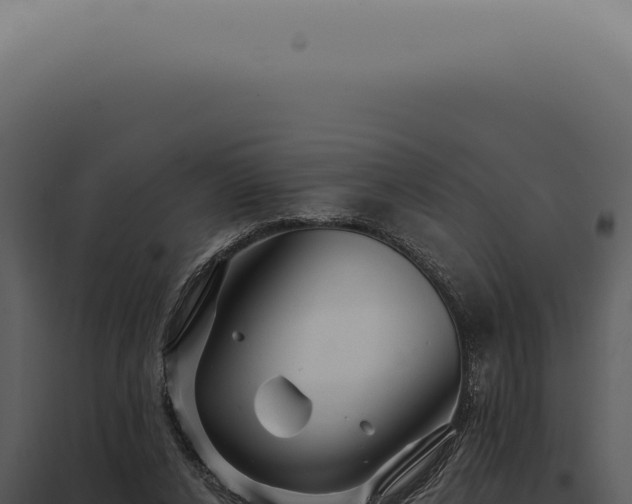 X0000097990256200804011815