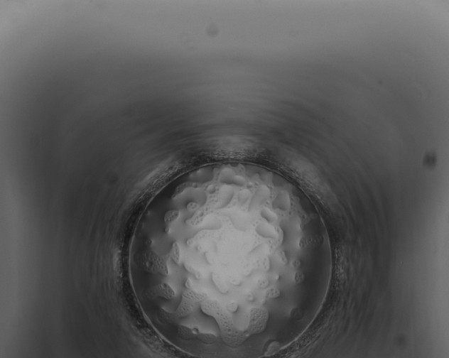 X0000097990258200804011815