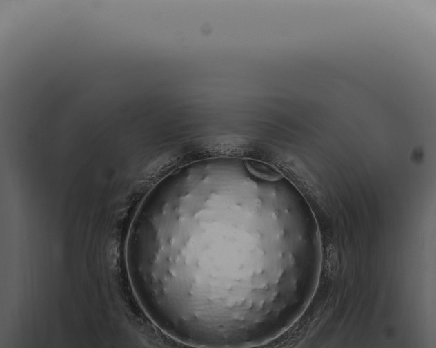 X0000097990259200804011815