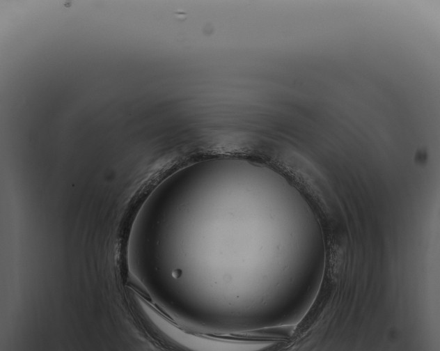 X0000097990260200804011816