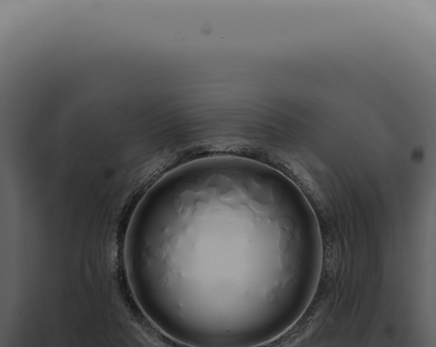 X0000097990261200804011816
