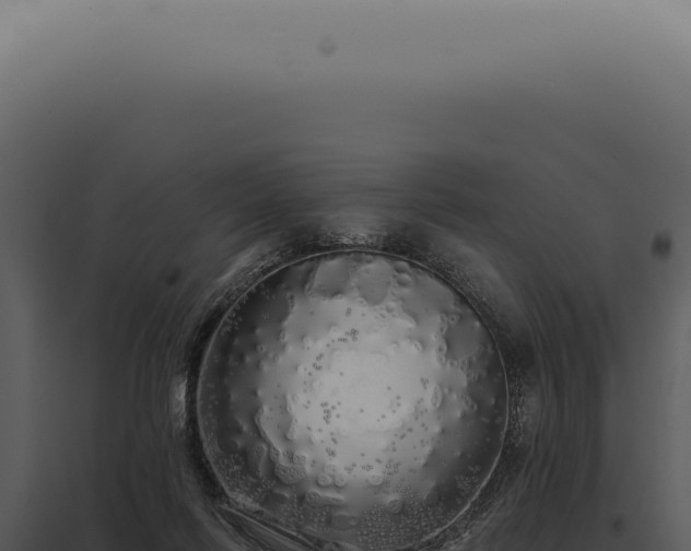 X0000097990262200804011816