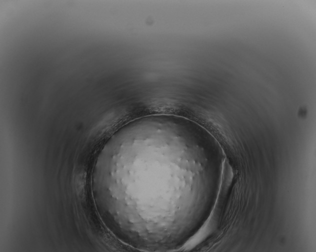 X0000097990263200804011816