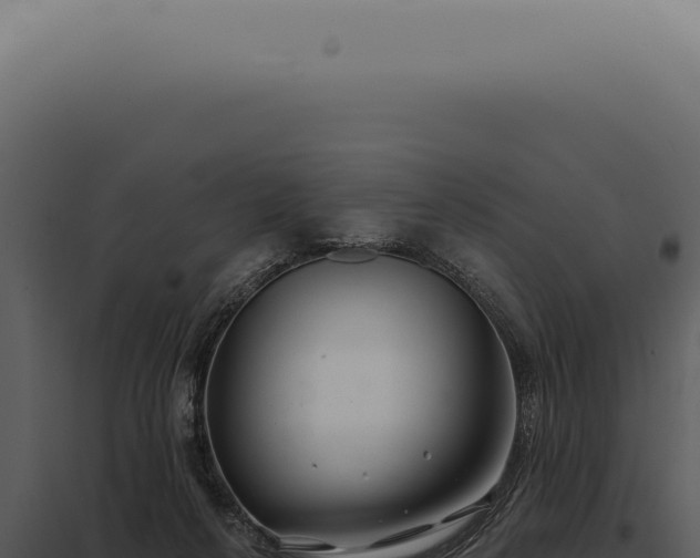X0000097990264200804011816