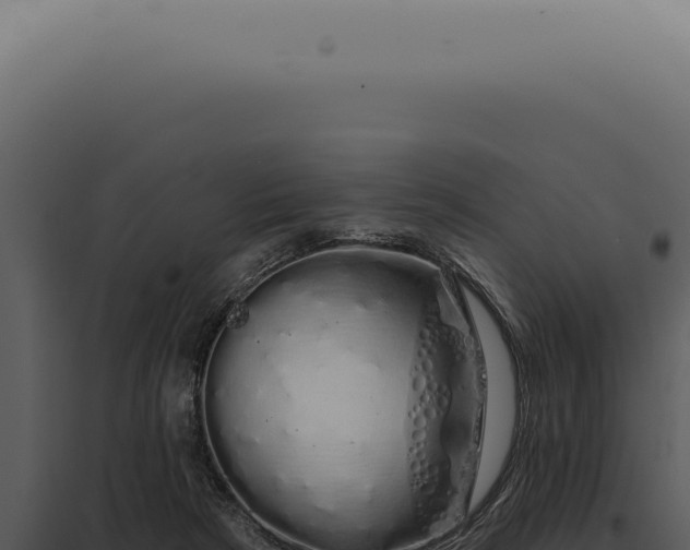 X0000097990265200804011816