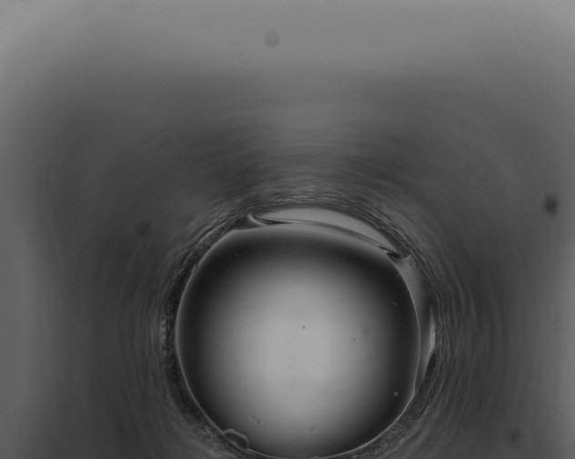X0000097990268200804011816