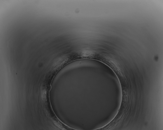 X0000097990269200804011816