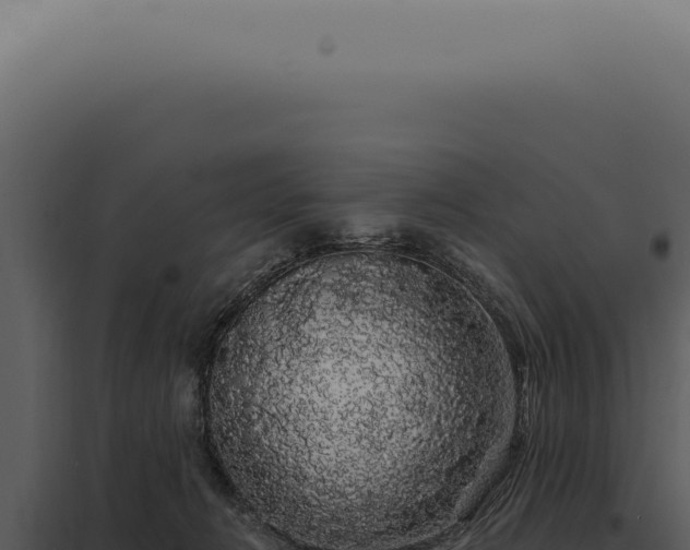 X0000097990270200804011816