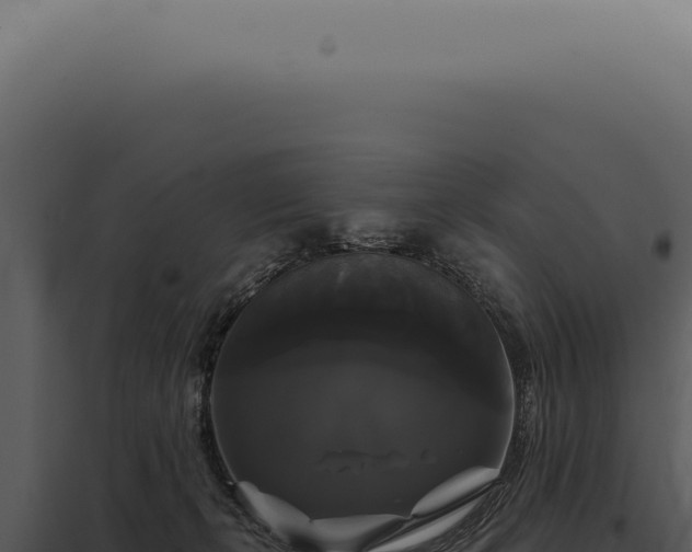 X0000097990271200804011816