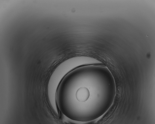 X0000097990272200804011816