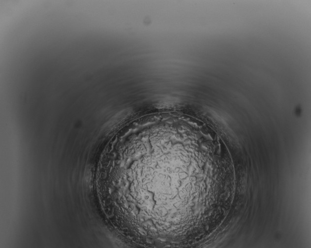 X0000097990273200804011816