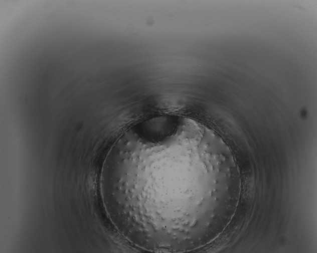 X0000097990274200804011816
