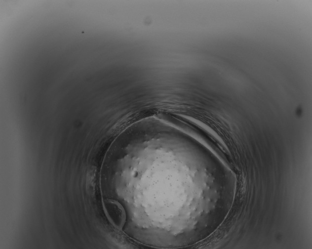 X0000097990275200804011816