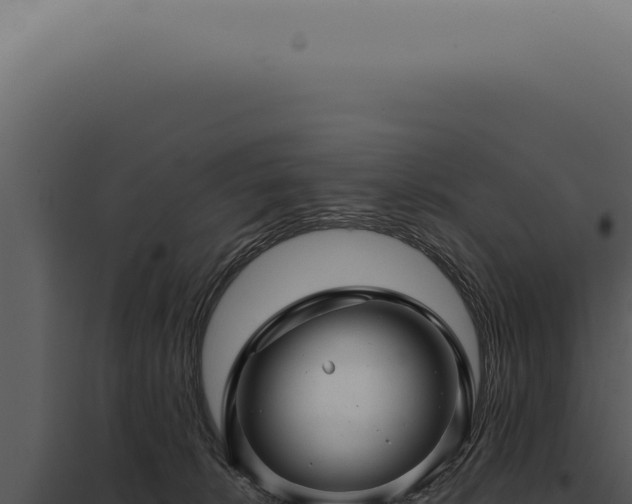 X0000097990276200804011816