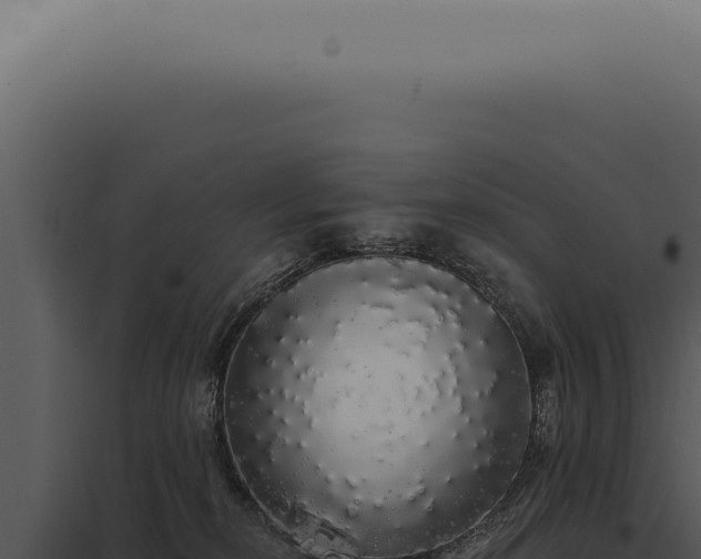 X0000097990278200804011816