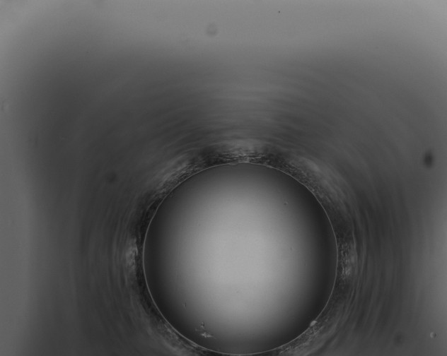 X0000097990279200804011816