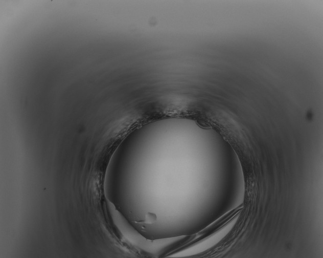 X0000097990280200804011816