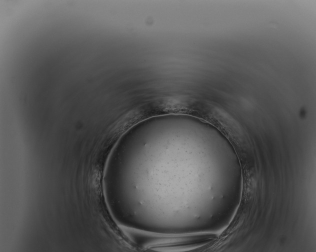 X0000097990281200804011816