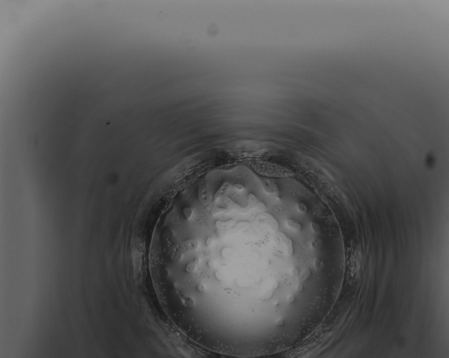 X0000097990283200804011816