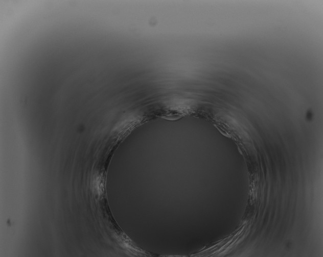 X0000097990285200804011816