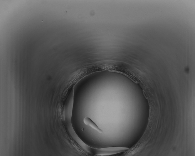 X0000097990288200804011816