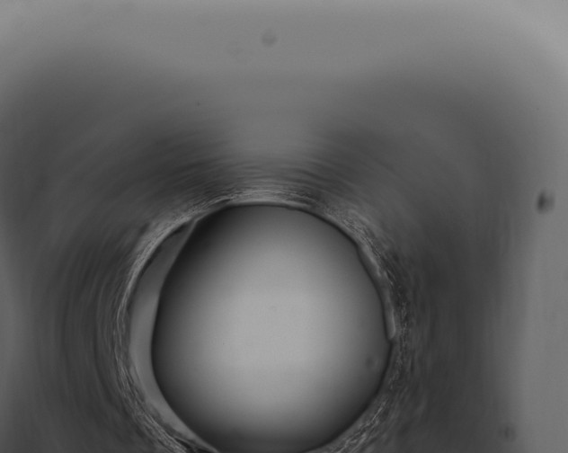 X0000097990289200804011815