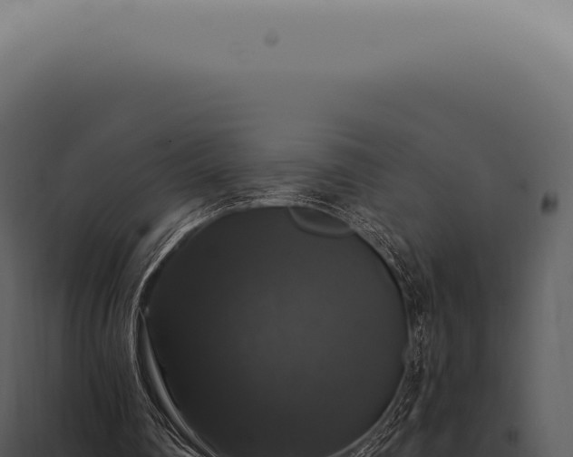 X0000097990290200804011815