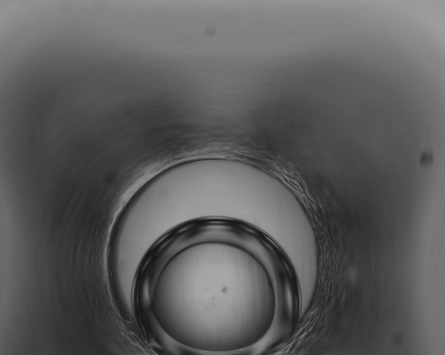 X0000097990292200804011815