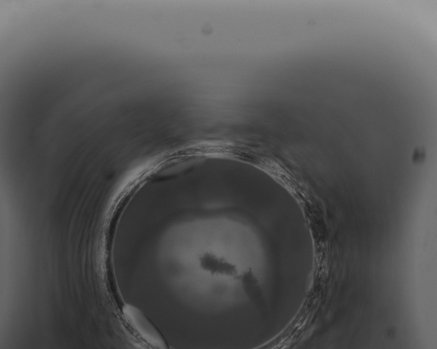 X0000097990293200804011815