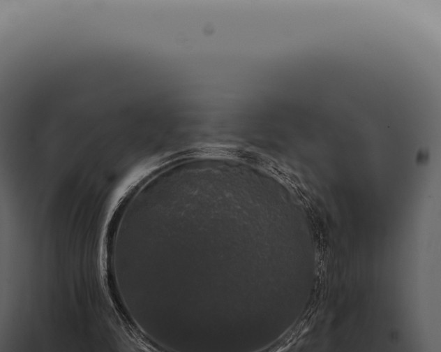 X0000097990294200804011815